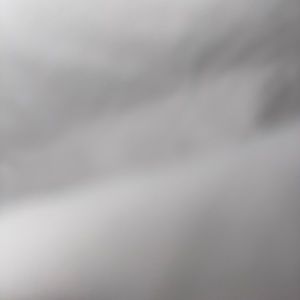 Meet your Posher, Frank